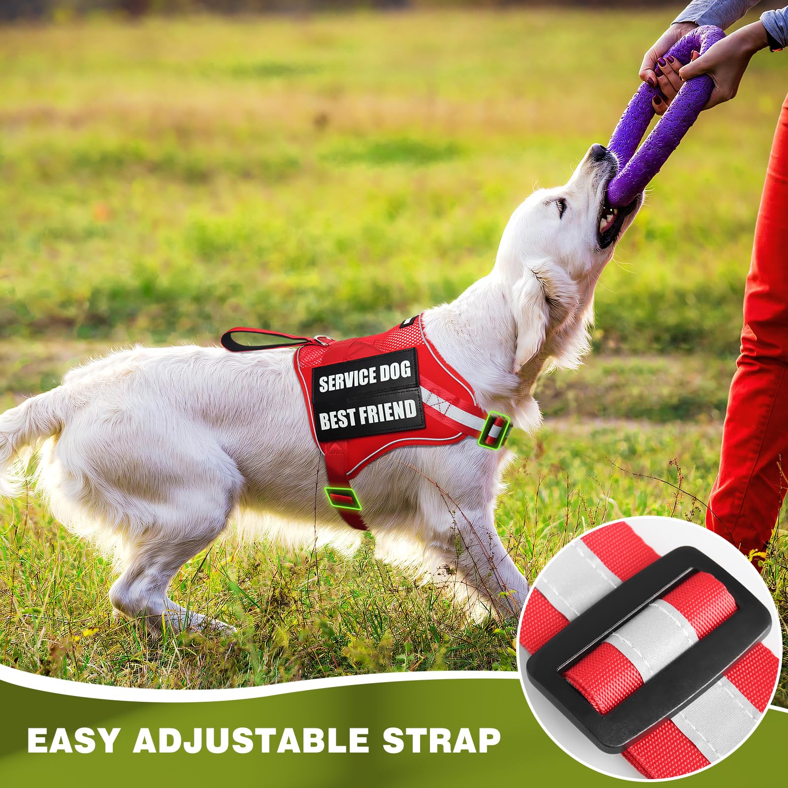Harness for assistance dogs and emotional support dogs – Lightweight, adjustable reflective vest for walking and training